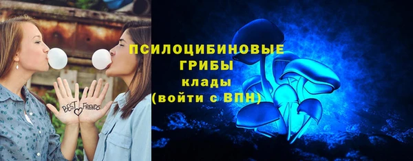 гидропоника Касимов